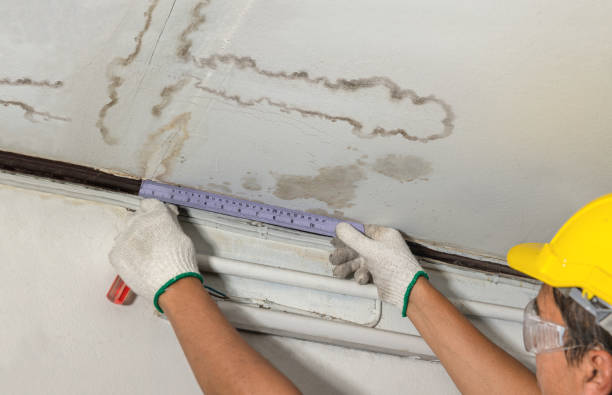 24/7 Emergency Structural Drying experts in Milan, MI
