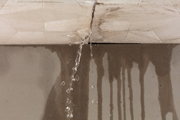 Professional Structural Drying technician working in Milan, MI
